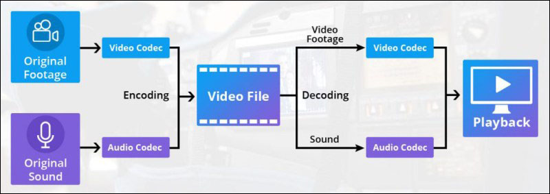 Cách codec hoạt động